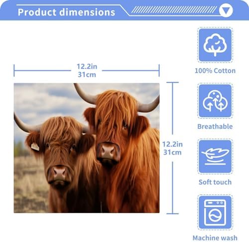 Highland Cow 2-Pack Washcloth 12x12