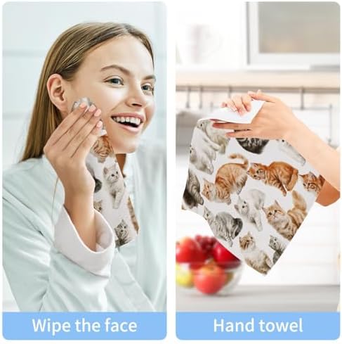 2-Pack Playful Cats Washcloths for Bathroom 1