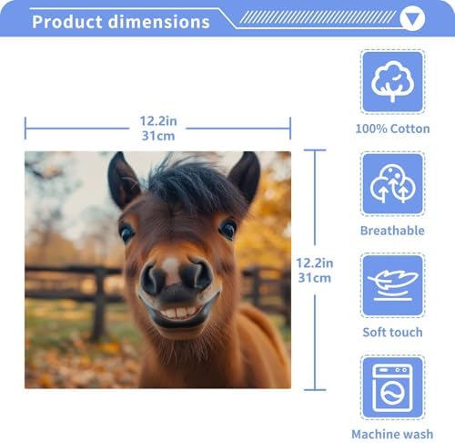 2-Pack Funny Little Horse Washcloths Soft Absorbent 12x12in
