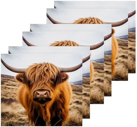 JUMBEAR Highland Cow Washcloths 2 Pack