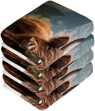 Flradish 2-Pack Highland Cows Washcloths