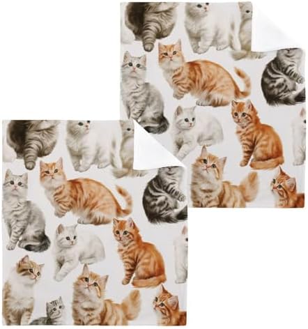2-Pack Playful Cats Washcloths for Bathroom 1