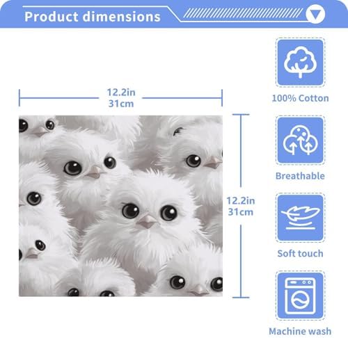 Fluffy 12x12in Washcloths Face Hand Towels 2-Pack of Soft Cotton Washcloths
