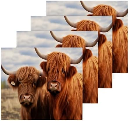 Highland Cow 2-Pack Washcloth 12x12