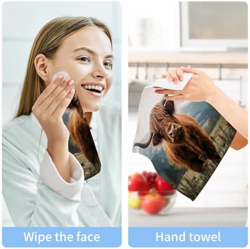 Flradish 2-Pack Highland Cows Washcloths
