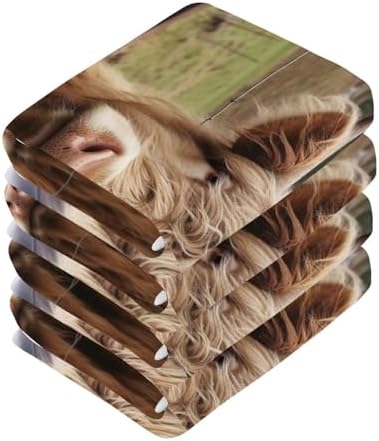 Soft Absorbent 12x12 Washcloths for