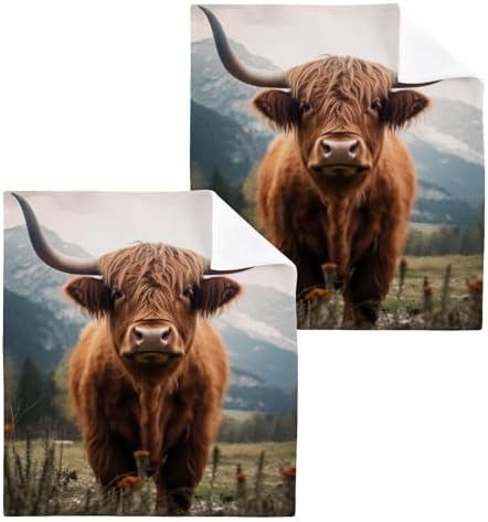 Highland Cow Washcloth Set - Soft AbsorbentReusable Facing Towel for Baby Family