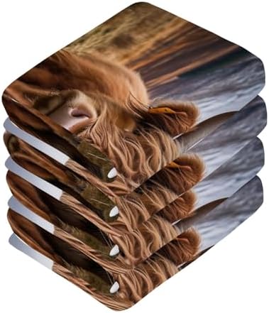 Highland Cow Washcloths