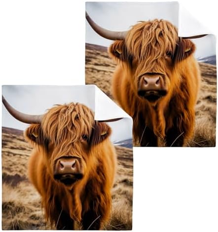 JUMBEAR Highland Cow Washcloths 2 Pack
