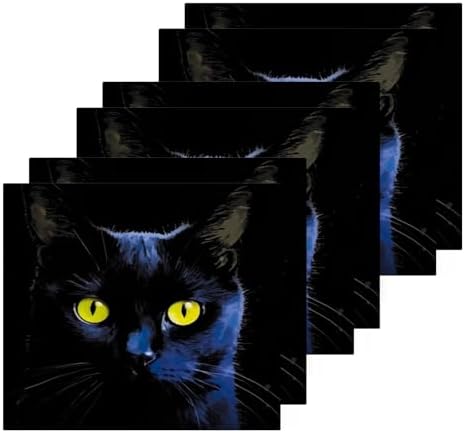 Xigua Black Cat Washcloths 2 Pack Quick Dry