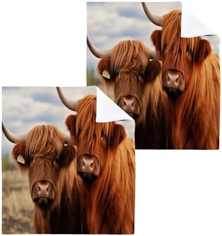 Highland Cow 2-Pack Washcloth 12x12