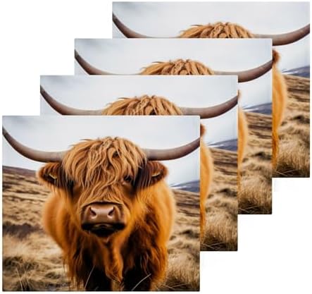 JUMBEAR Highland Cow Washcloths 2 Pack