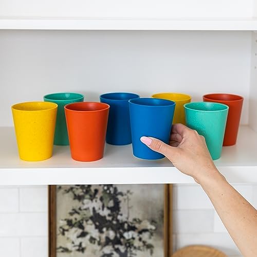 Grow Forward Premium Plastic Cups for Kids