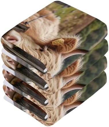 Perfect Washcloth for Family