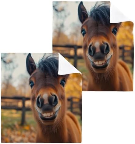 2-Pack Funny Little Horse Washcloths Soft Absorbent 12x12in