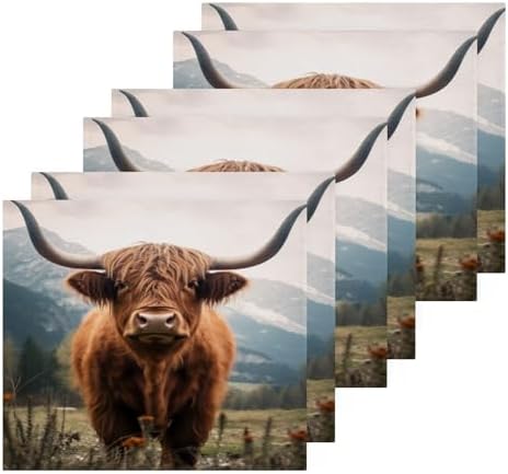 Highland Cow Washcloth Set - Soft AbsorbentReusable Facing Towel for Baby Family