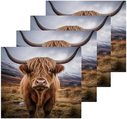 Highland Cow Washcloths