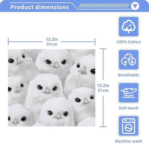 Bulletgxll Cotton Washcloths Set of 2 - 12x12 Inch Soft Absorbent Face Cloths