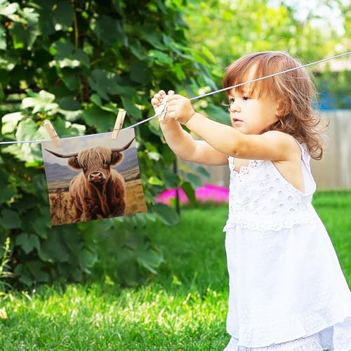 ALAZA Scotland Cattle Highland Cow Washcloths Set 2 Pack