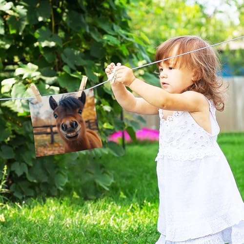 2-Pack Funny Little Horse Washcloths Soft Absorbent 12x12in
