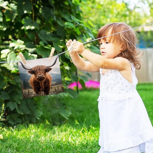 Highland Cow Washcloth Set - Soft AbsorbentReusable Facing Towel for Baby Family