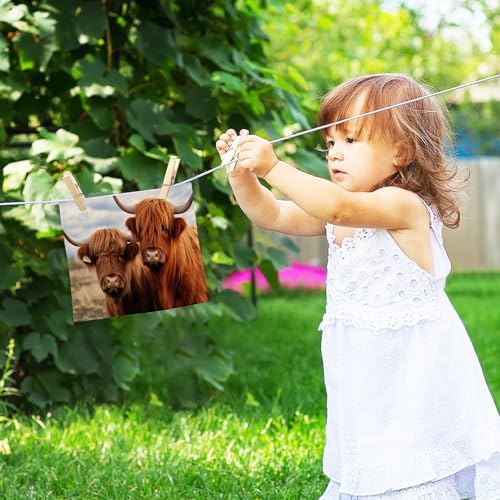 Highland Cow 2-Pack Washcloth 12x12
