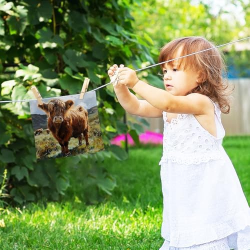 Highland Cow Washcloth 2 Pack