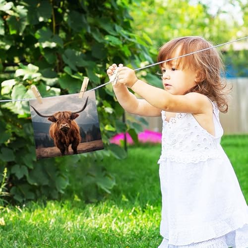 Highland Cow Washcloth Set
