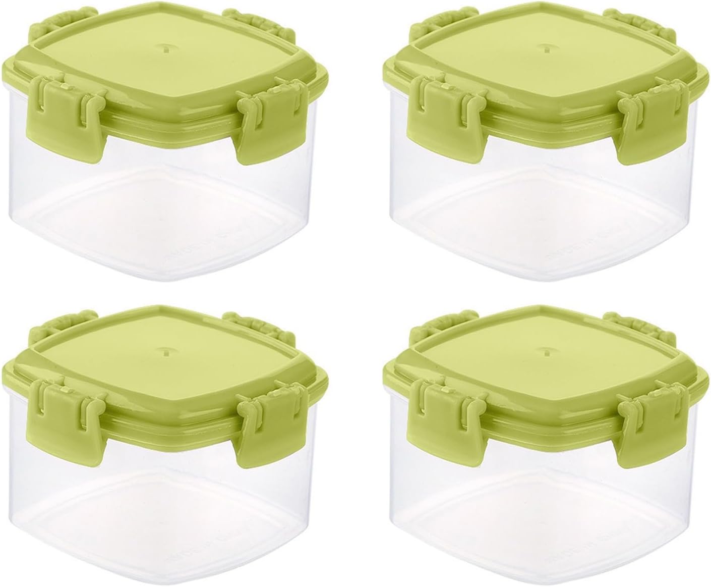 Mini Transparent Food Storage Containers with Leak-Proof Lid 4Pcs