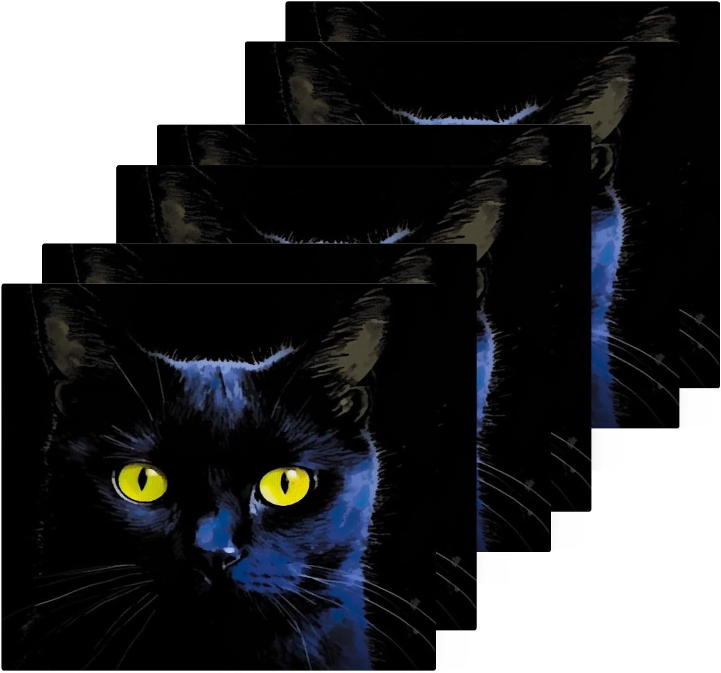 Xigua Black Cat Washcloths 2 Pack Quick Dry