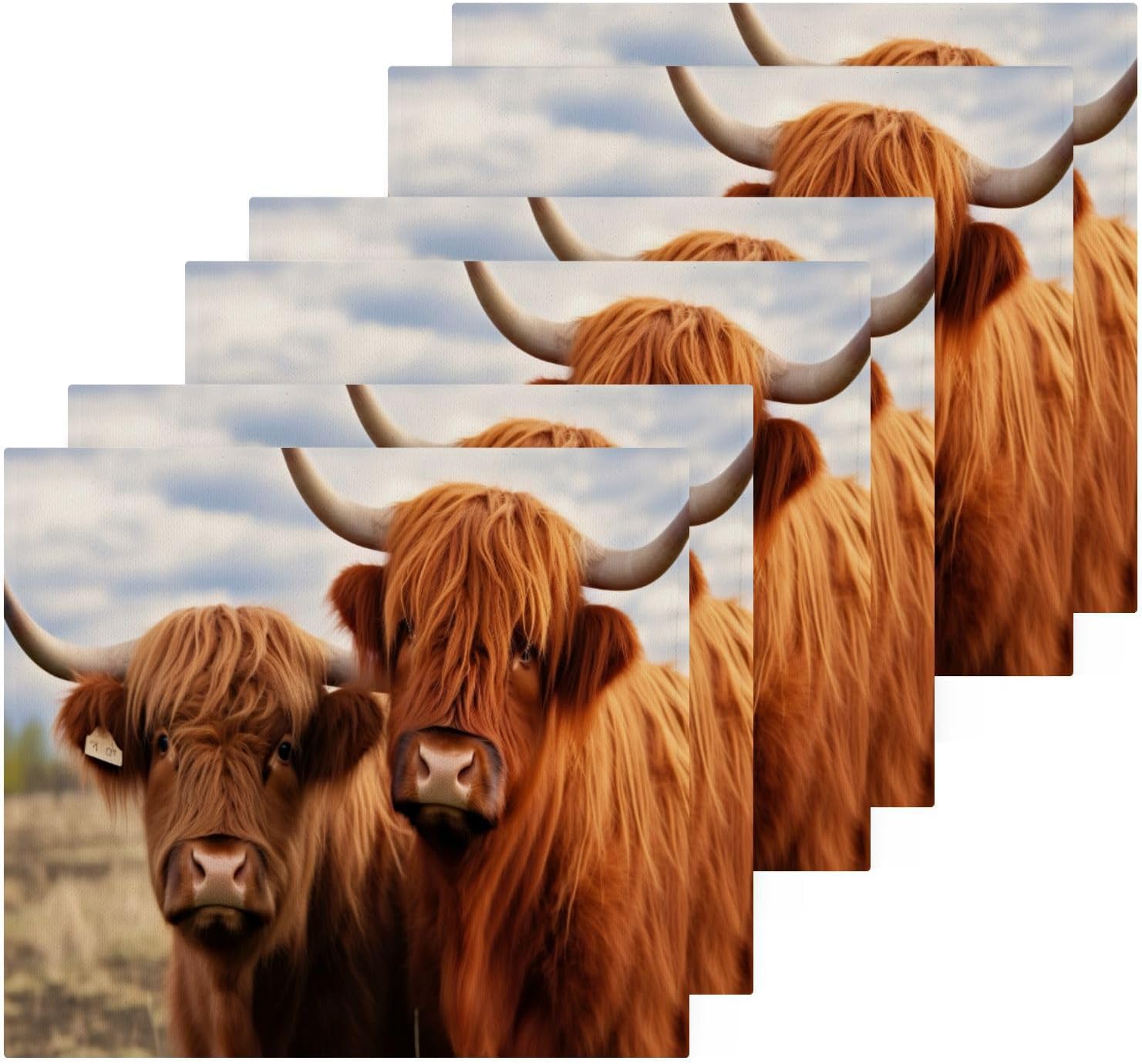 Highland Cow 2-Pack Washcloth 12x12