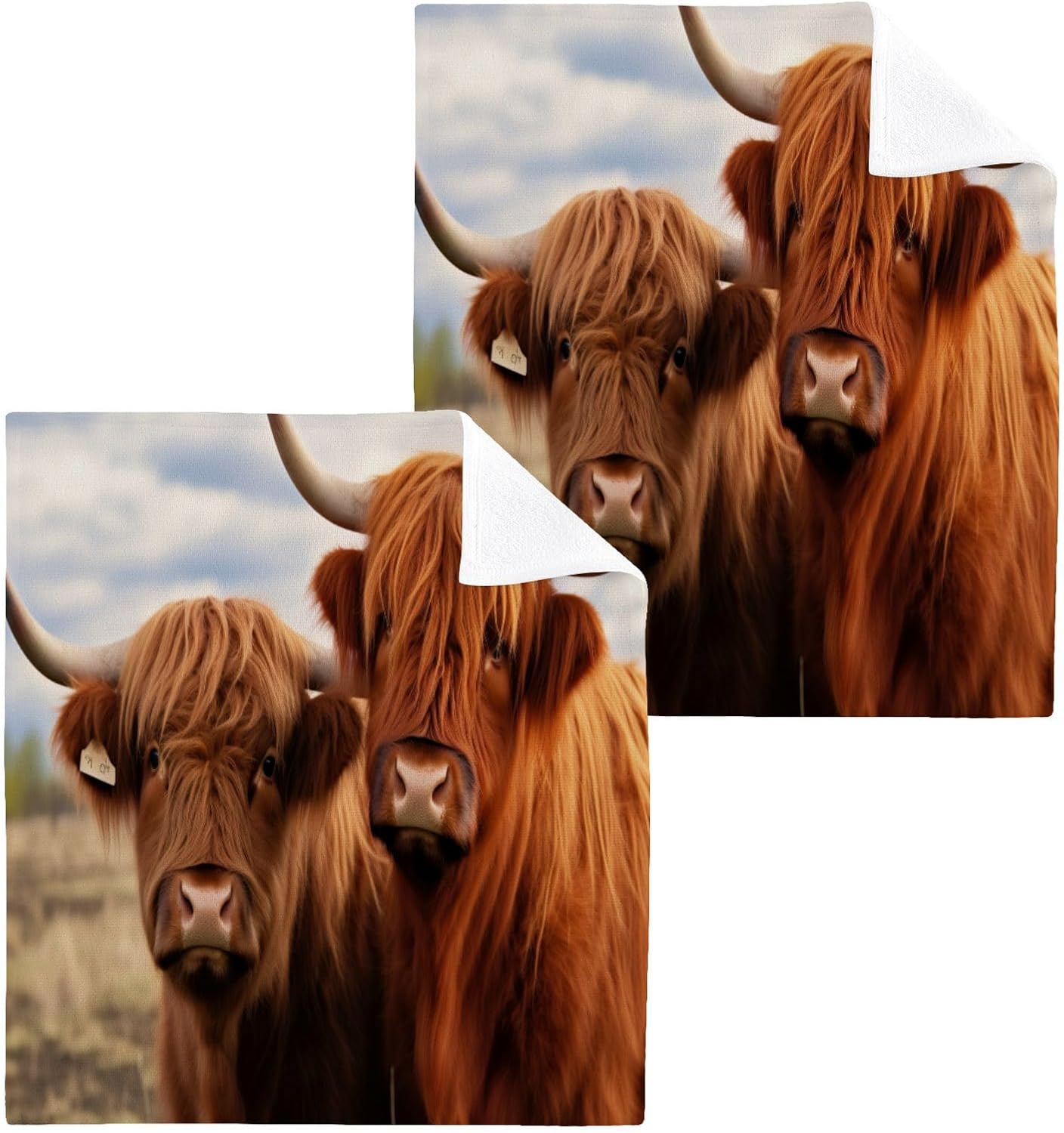 Highland Cow 2-Pack Washcloth 12x12