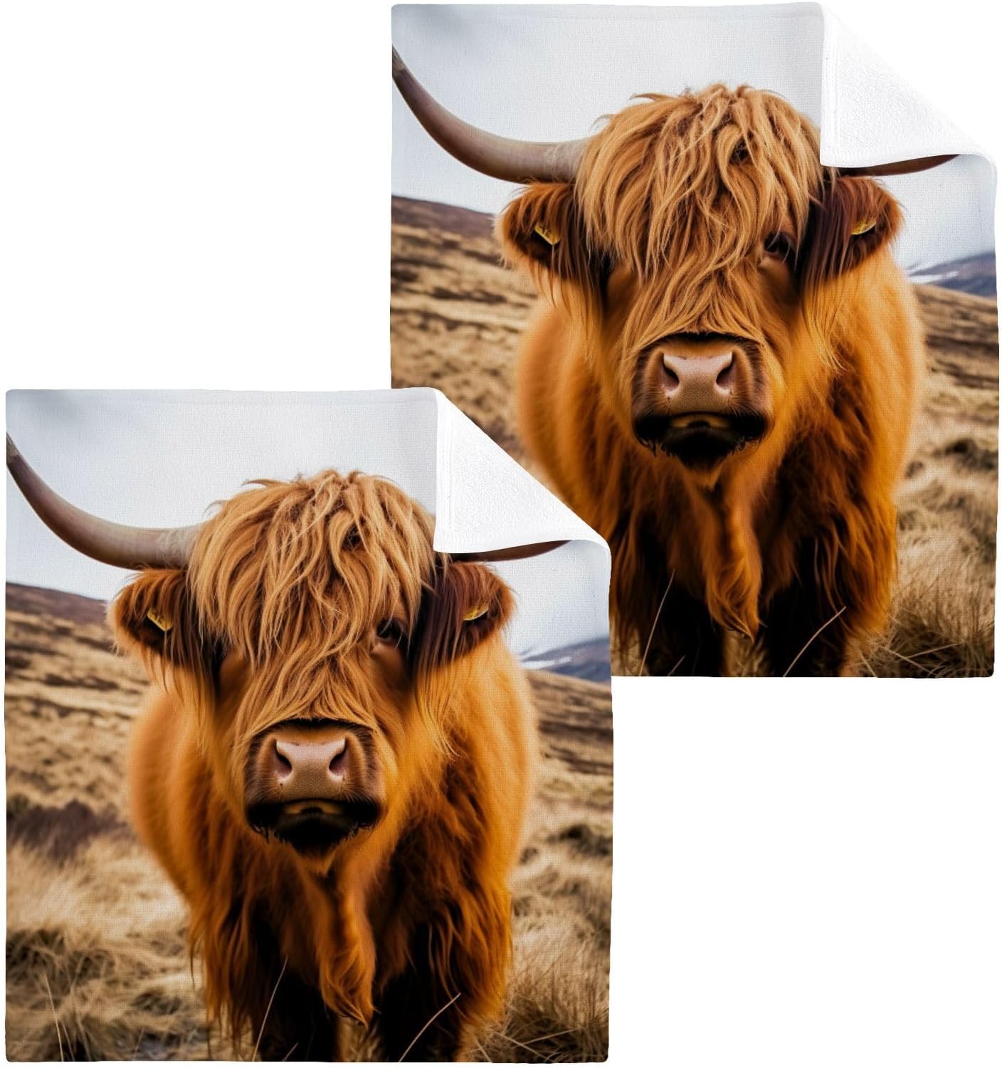 JUMBEAR Highland Cow Washcloths 2 Pack
