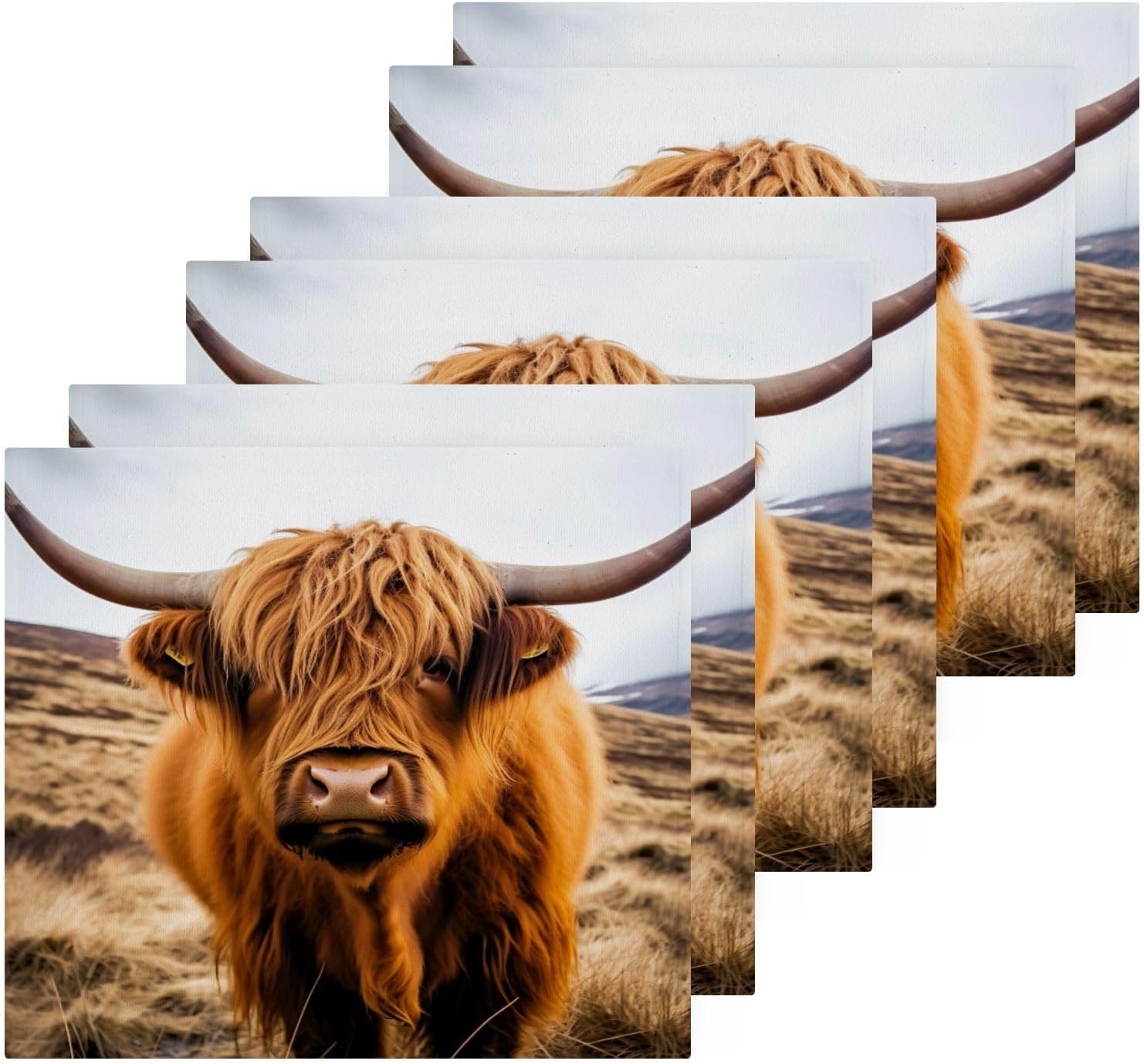 JUMBEAR Highland Cow Washcloths 2 Pack