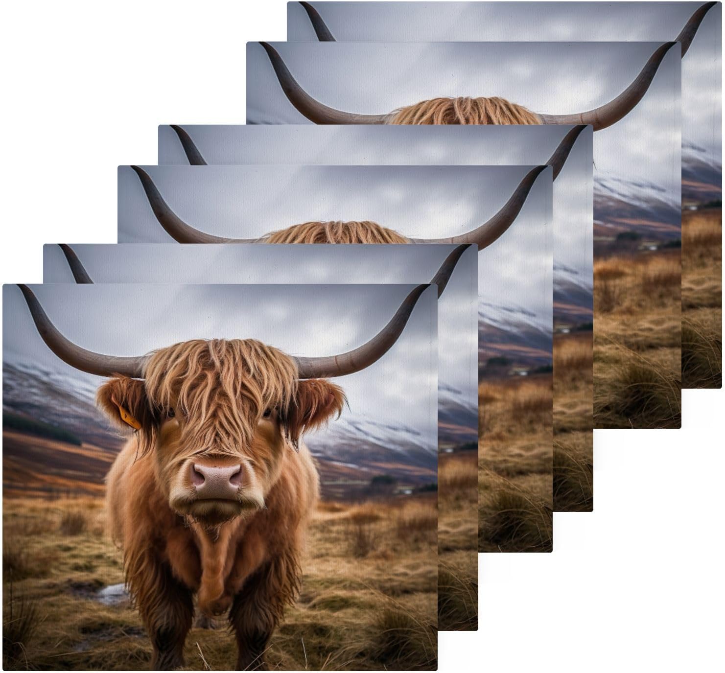 Highland Cow Washcloths
