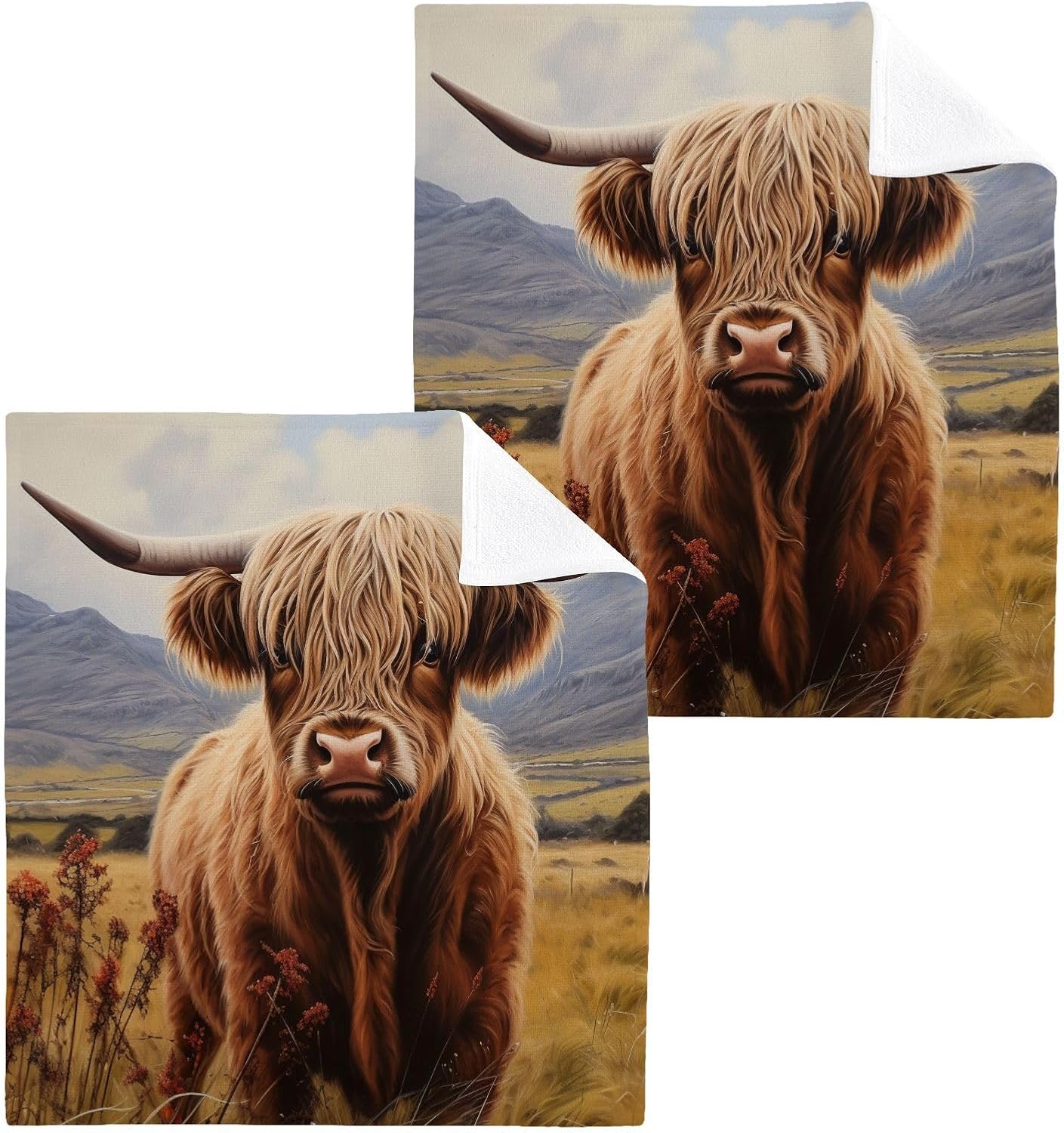 ALAZA Scotland Cattle Highland Cow Washcloths Set 2 Pack