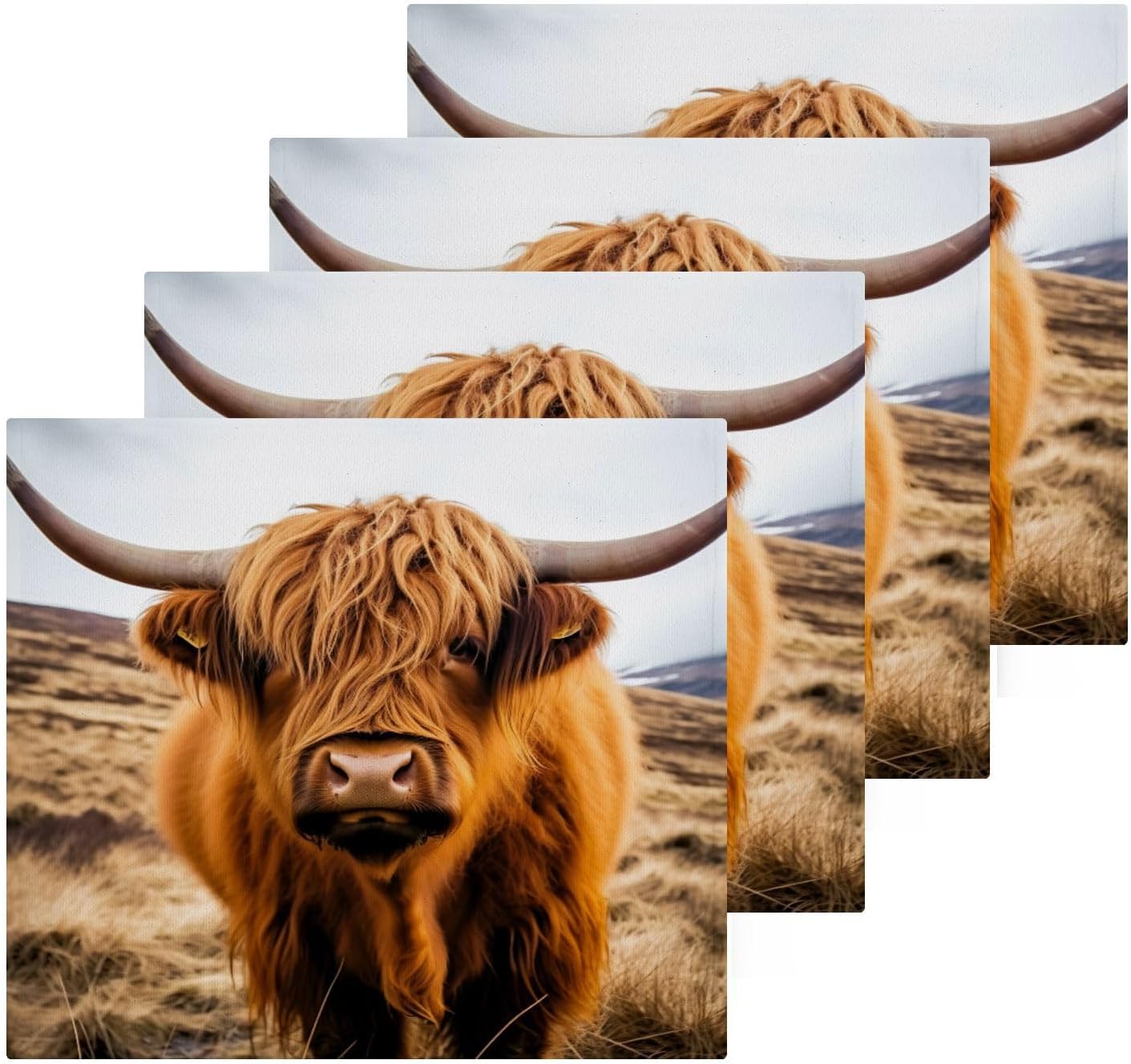 JUMBEAR Highland Cow Washcloths 2 Pack