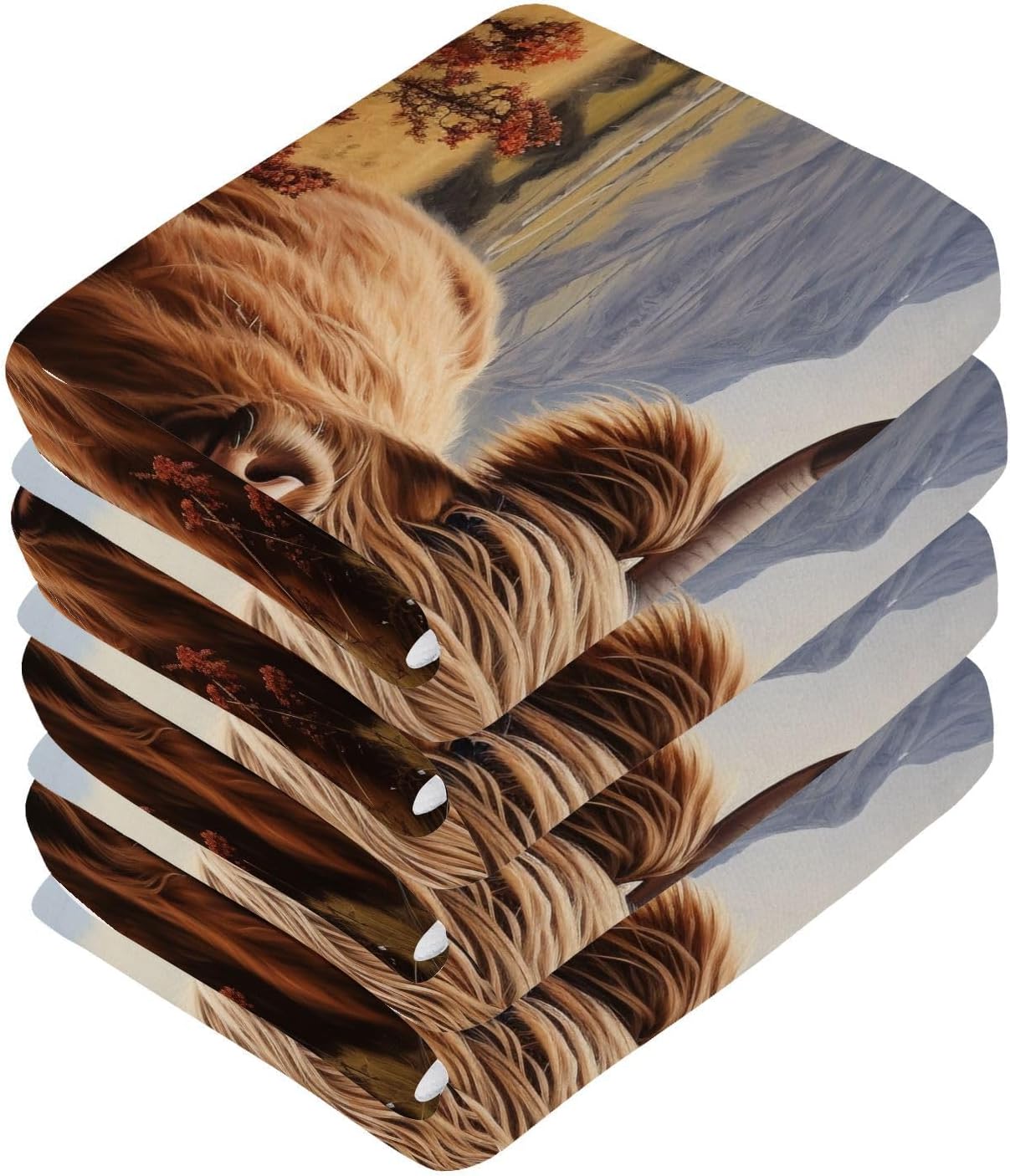 ALAZA Scotland Cattle Highland Cow Washcloths Set 2 Pack