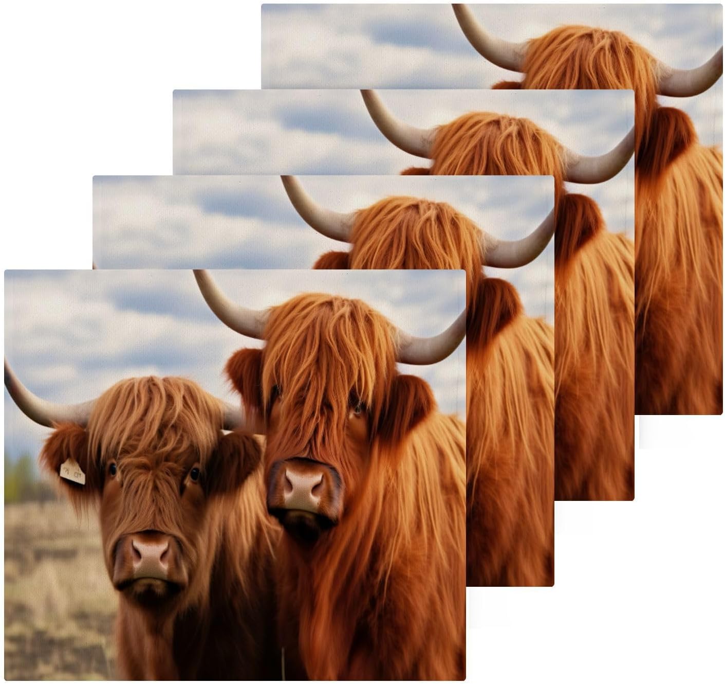 Highland Cow 2-Pack Washcloth 12x12