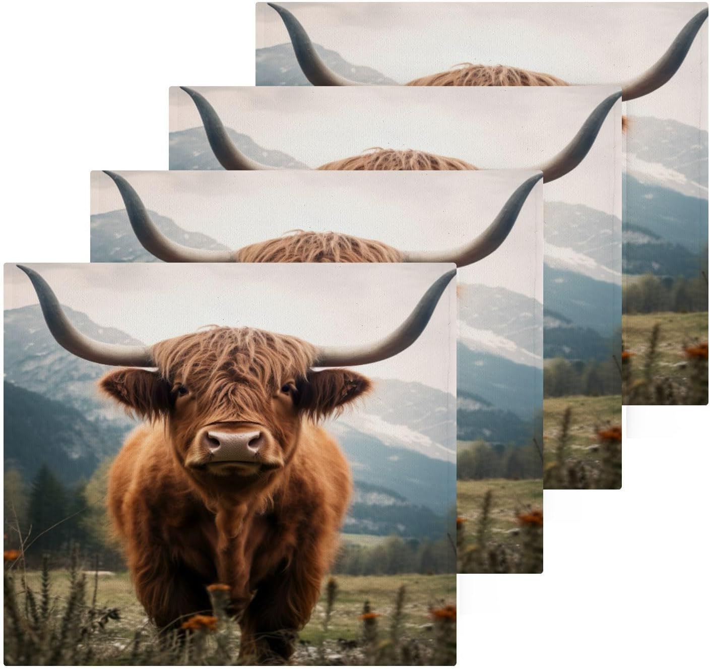 Flradish 2-Pack Highland Cows Washcloths