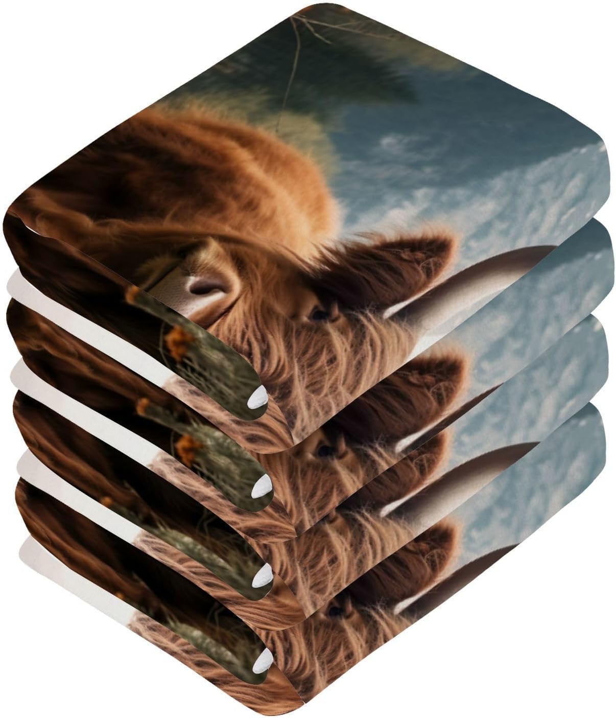Flradish 2-Pack Highland Cows Washcloths