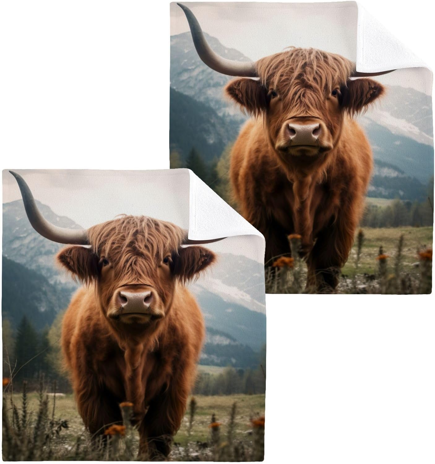 Flradish 2-Pack Highland Cows Washcloths
