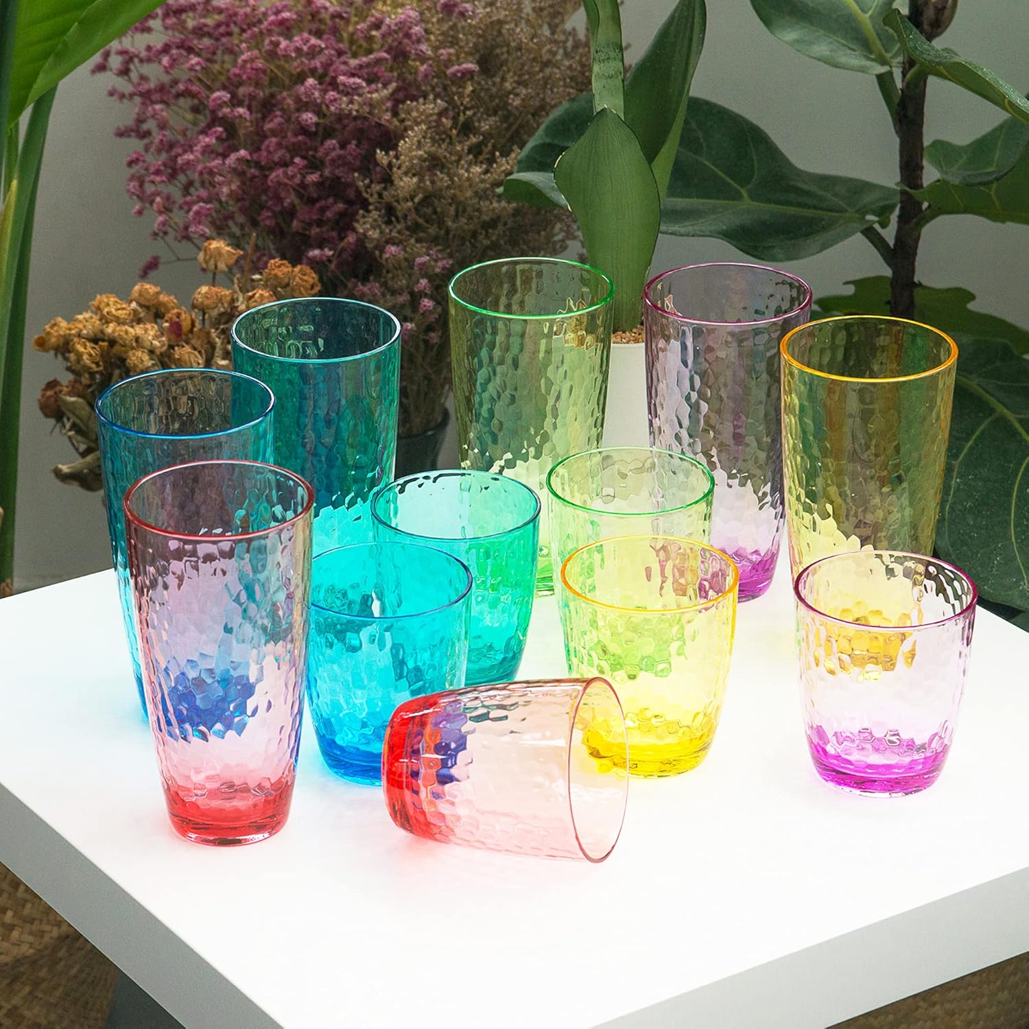 Hampered Plastic Tumbler Set of 12 Multicolor